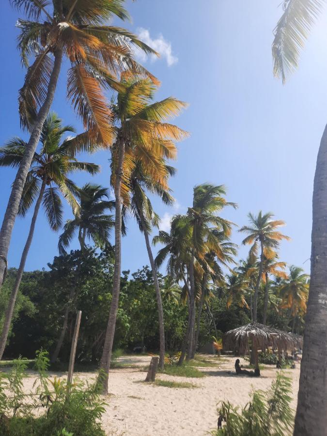 Virgin Islands Campground Water Island Esterno foto